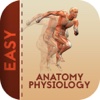 Easy To Use Anatomy & Physiology by Video