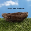 Empty Nest Syndrome:Empty Nest Tips and Tutorial