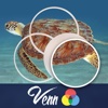 Venn Turtles: Overlapping Jigsaw Puzzles