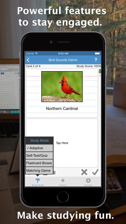 gFlash+ — Fun, Free, Custom Flashcards