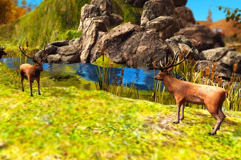 Deer Hunting Sniper Shooting Animal Hunter 2017 screenshot 2