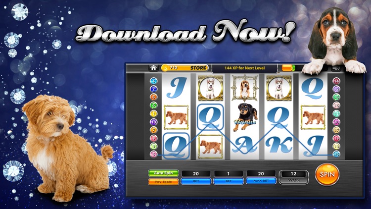 Lucky Pup Wild Casino screenshot-4