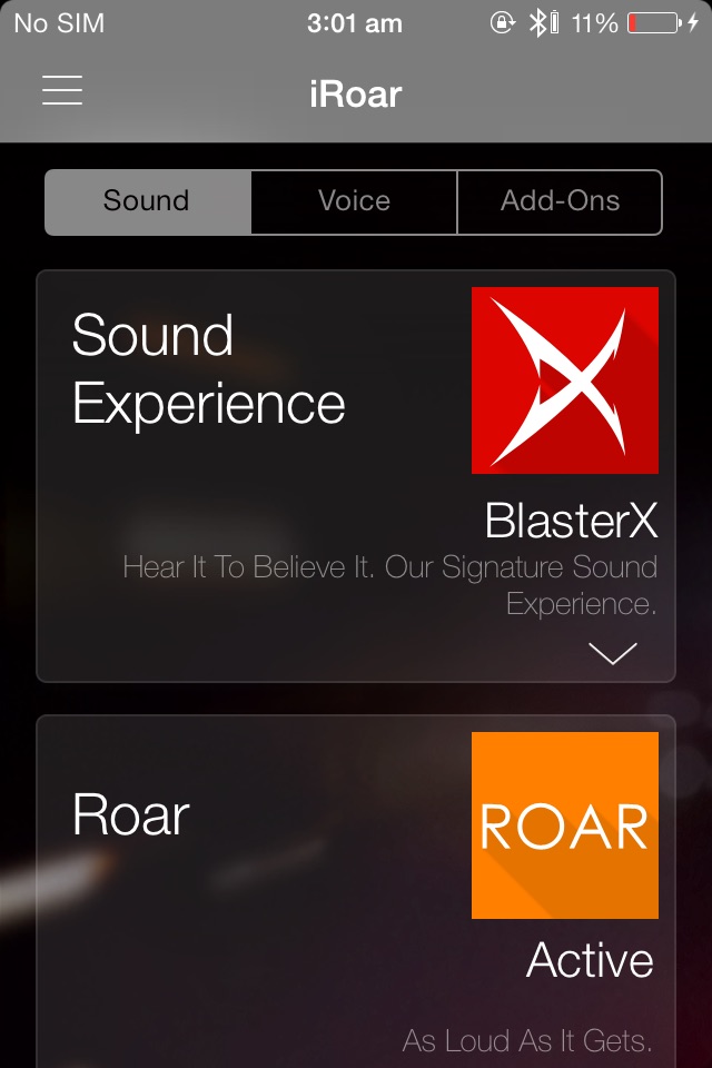 iRoar Dashboard screenshot 2