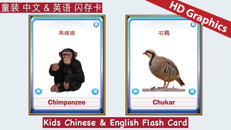 Kids Chinese & English Flash Cards ABC