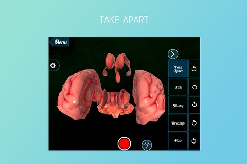 Virtual Reality (VR) Human Brain screenshot 3