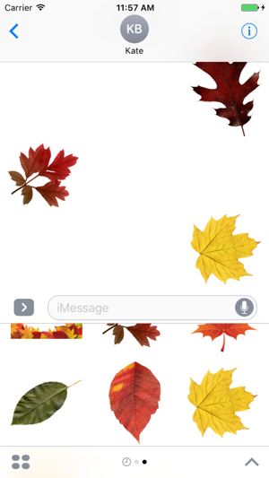 Autumn Leaves Stickers(圖2)-速報App