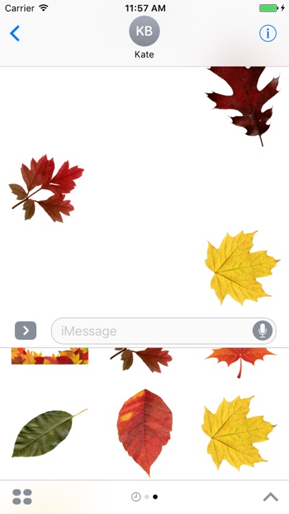 Autumn Leaves Stickers