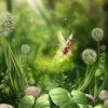 Magical Garden Wallpapers HD: Quotes Backgrounds with Art Pictures