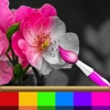 Professional Photo Effect - cool picture design booth