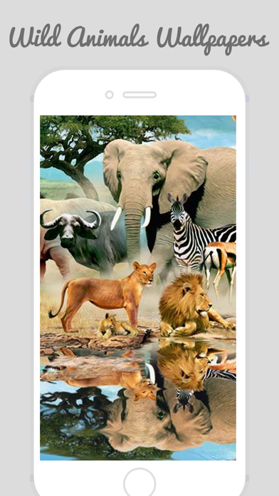 How to cancel & delete HD Wild Animal Wallpapers from iphone & ipad 3