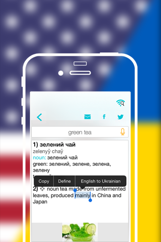 Offline Ukrainian to English Language Dictionary, Translator - англійська - українська словник screenshot 4