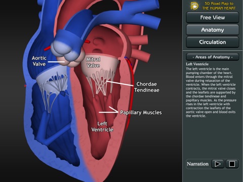 3D Road Map to the Human Heart screenshot 2