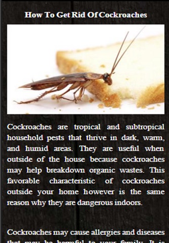 How To Get Rid Of Cockroaches screenshot 2