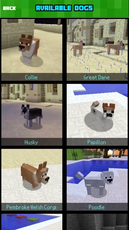 DOG MOD FREE - Dogs Mods Style Guide For Minecraft Game PC Edition