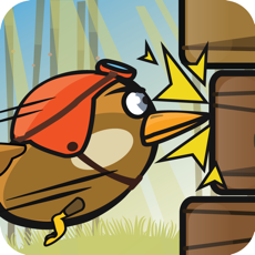Activities of WoodPecker : Bird Dash