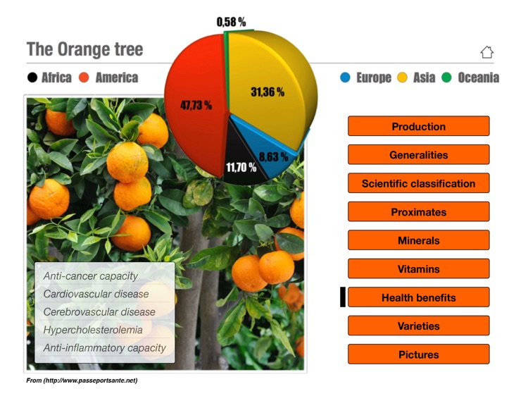 The Orange screenshot-3