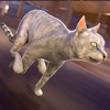 Cat Simulator 2016 . Best Kitten Fun Games For Children