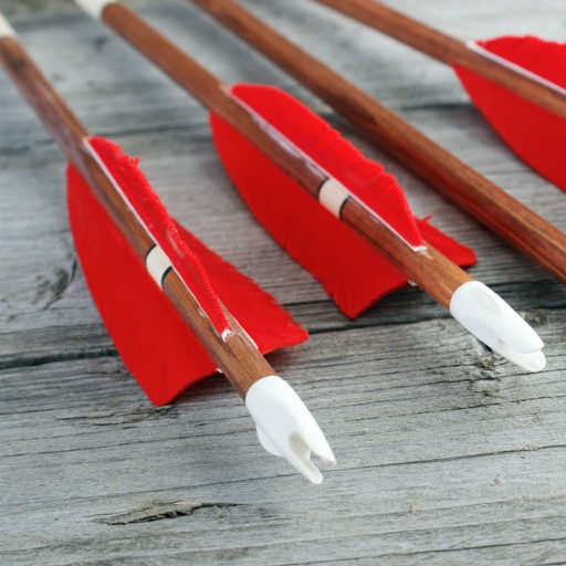 Archery Tutorial - Beginner Archery Lessons