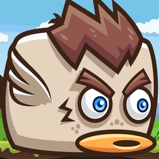 Hairy Birdy - PRO iOS App