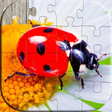 Activities of Insect puzzles - Relaxing photo picture jigsaw puzzles for kids and adults