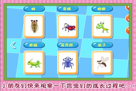 巧虎的昆虫总动员 早教 儿童游戏 screenshot 3