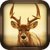 3D Deer Simulator - Crazy Wild Attack Sim 2016