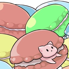Activities of Macaron Dog