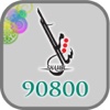 shamel 90800