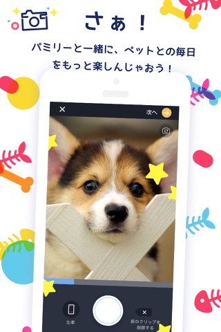 Pamily - Video Community for Pet lovers screenshot 2