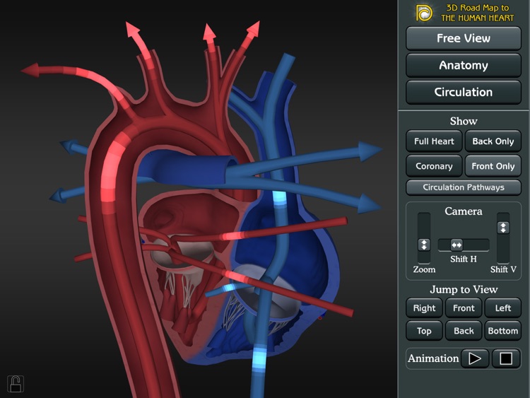 3D Road Map to the Human Heart screenshot-4