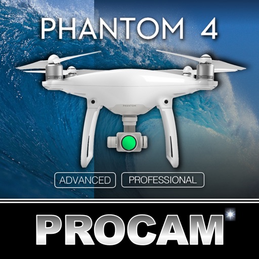 PROCAM for Phantom 4 Drone