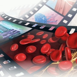 Human Physiology: An Introduction to Body Structures and Fucntions