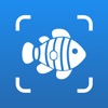 AI Fish Identifier by Picture