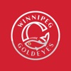 Goldeyes GameDay