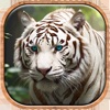 Lion Simulator Animal Clash