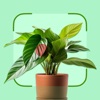 Plantzy - Plant Identifier