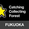 Fukuoka / Collecting Forest