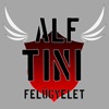 Tini Felügyelet