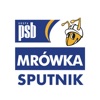 Mrówka Sputnik