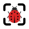 Insect Identifier: Bug Scanner