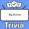 Big Animal Trivia