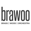 BRAWOO – Brass Wood Orchestra