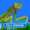 Bugs & Insects (Full Version)