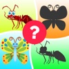 Insects World Puzzles