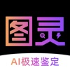 图灵鉴定（AI鉴定）