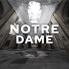 Rebuilding Notre Dame