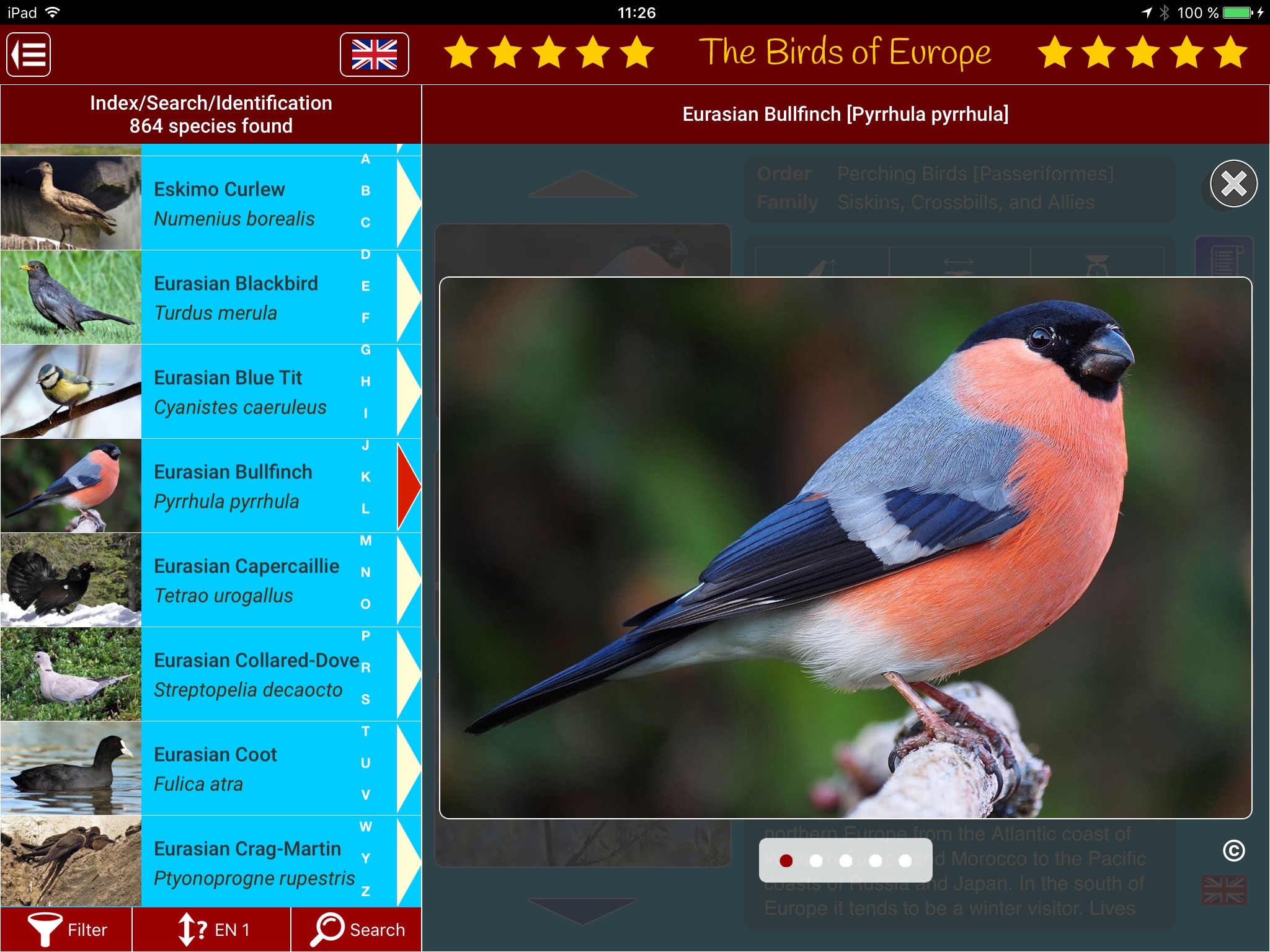 Birds of Europe screenshot 4