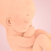 Pregnancy & Baby Apps