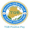 TGB Positive Pay