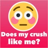 Does my crush like me? Test